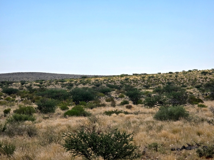 Commercial Property for Sale in Upington Rural Northern Cape